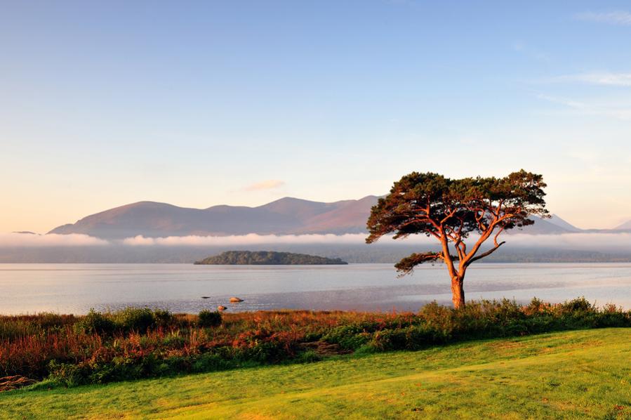 : Killarney-Sunrise.jpg
: 374

: 65.6 