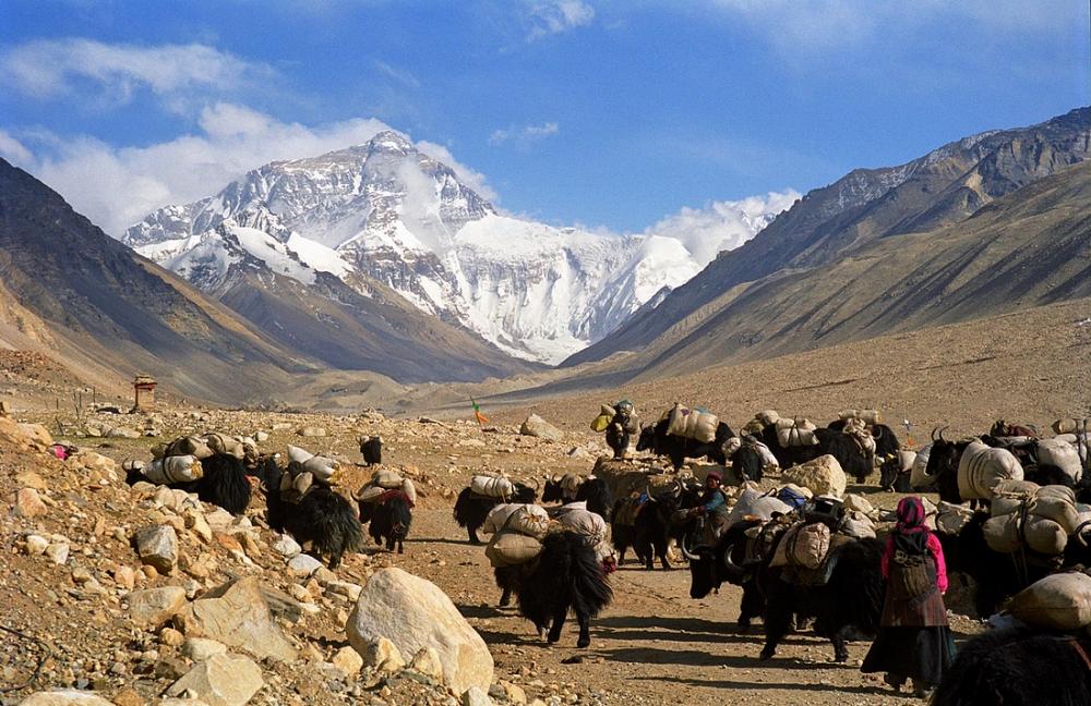 : Everest-2.jpg
: 3497

: 138.5 