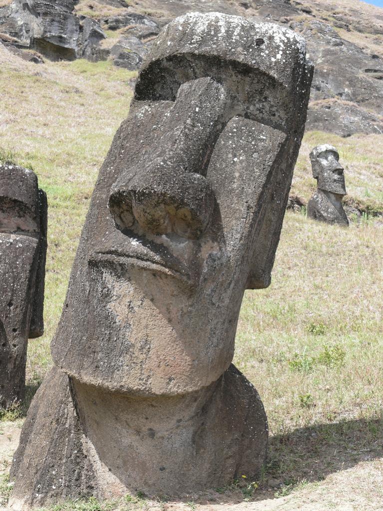 : Easter-Island-Moai-Statue1.jpg
: 729

: 195.3 